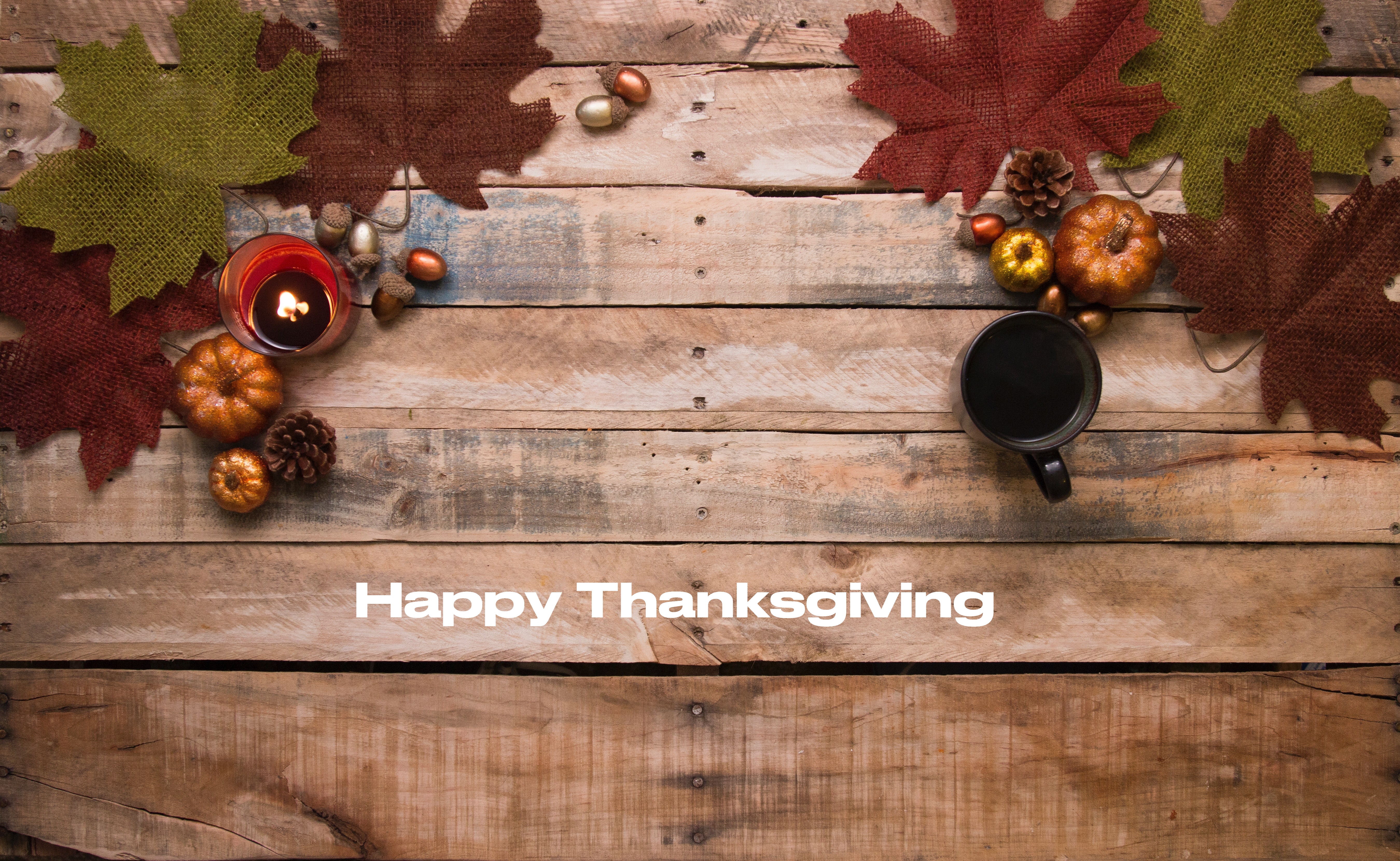 Happy-Thanksgiving_Tomcat_A4I.jpg Happy-Thanksgiving_Tomcat_A4I.jpg